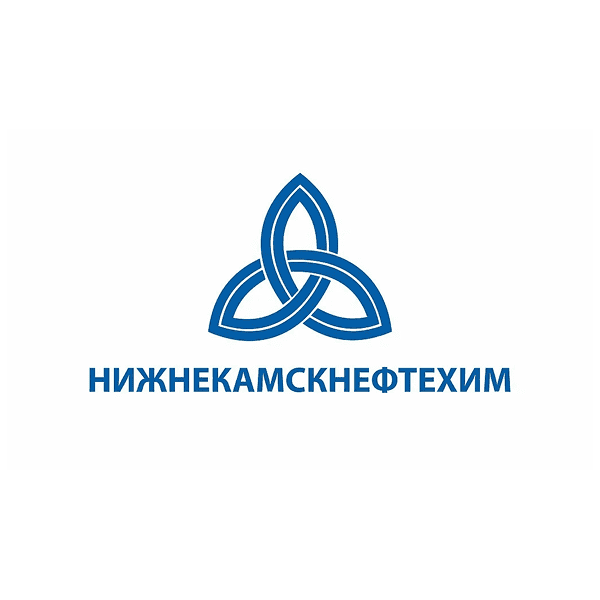 Нижнекамскнефтехим (1)